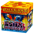 Русская пиротехника Печоры
